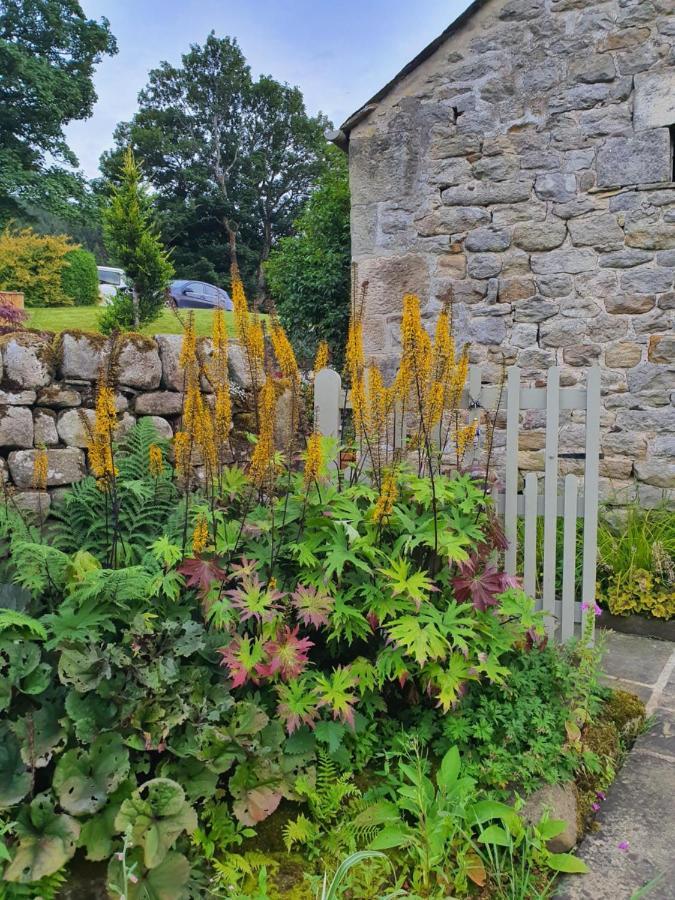 Howgill Farm Bolton Abbey Appletreewick Buitenkant foto